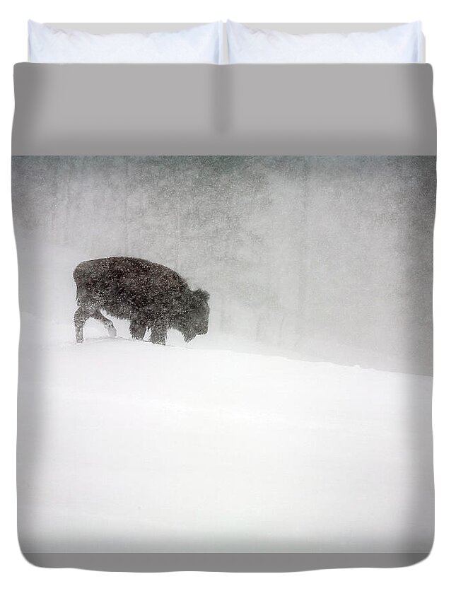 Winter Duvet Cover featuring the photograph Buffalo in Winter Storm by Craig J Satterlee