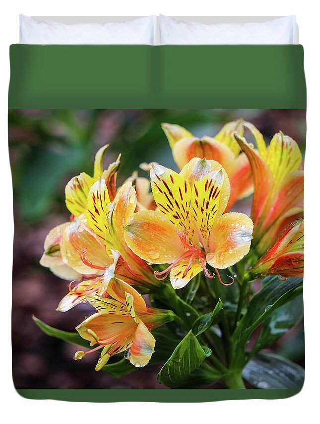Lily Duvet Cover featuring the photograph Bundle of Lily by Mary Anne Delgado