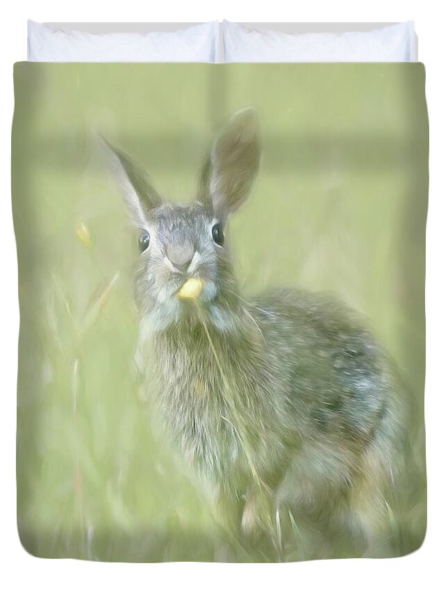 Bunny Duvet Cover featuring the photograph Bunny and Dandelion by Marjorie Whitley