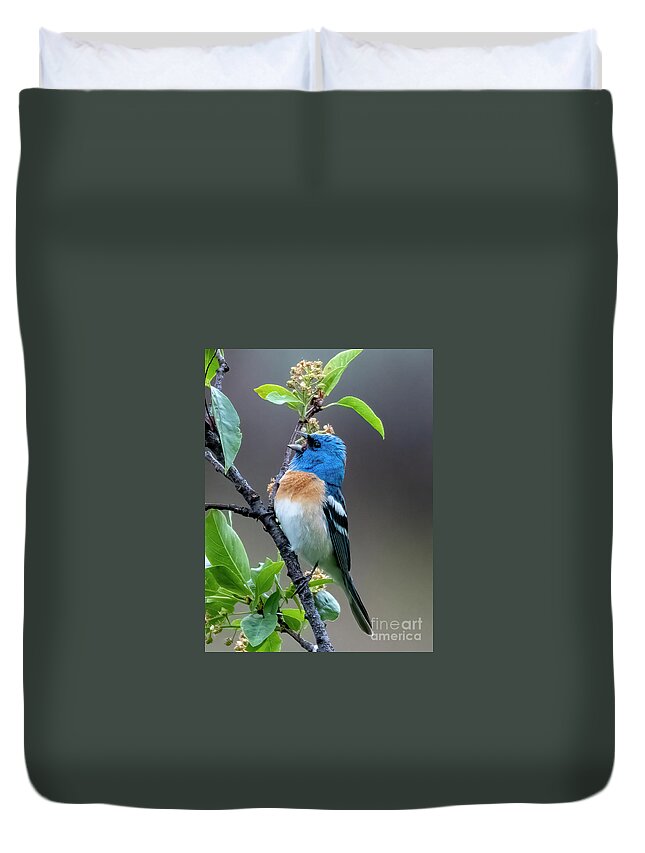 Bunting Duvet Cover featuring the photograph Bunting Blue by Michael Dawson