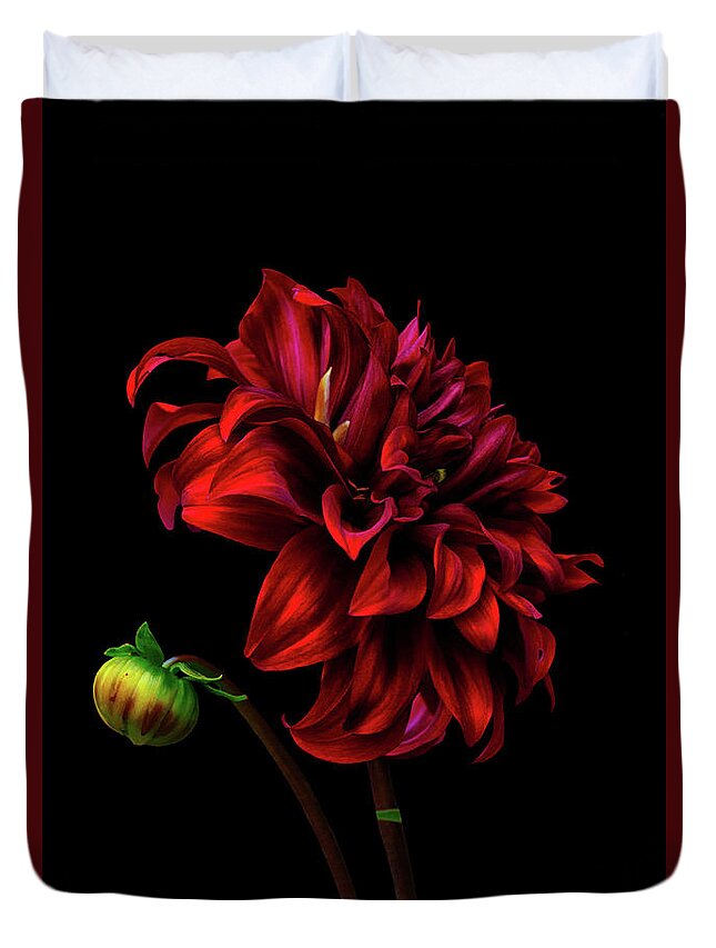 Dahlia Duvet Cover featuring the photograph Burn Daylight by Cynthia Dickinson