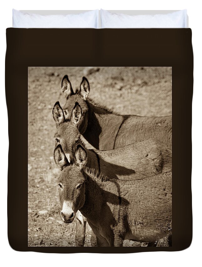 Burros Duvet Cover featuring the photograph Burro Stacks by Mary Hone