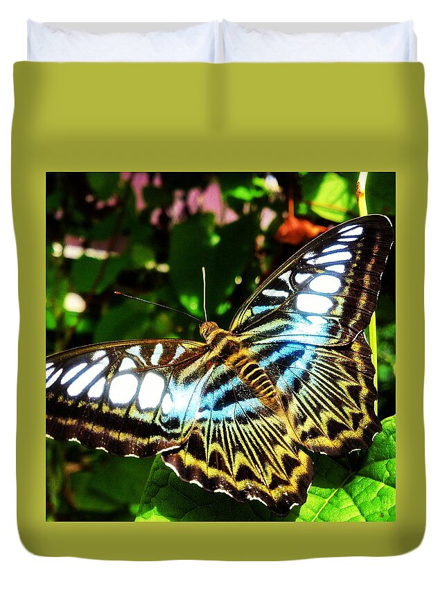 Butterfly Duvet Cover featuring the photograph Butterfly by Faa shie