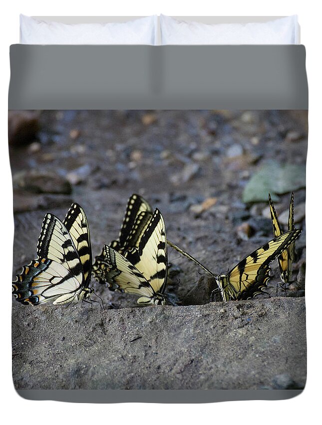Butterflies Duvet Cover featuring the photograph Butterfly Nation Swallowtail Butterflies II by Demetrai Johnson