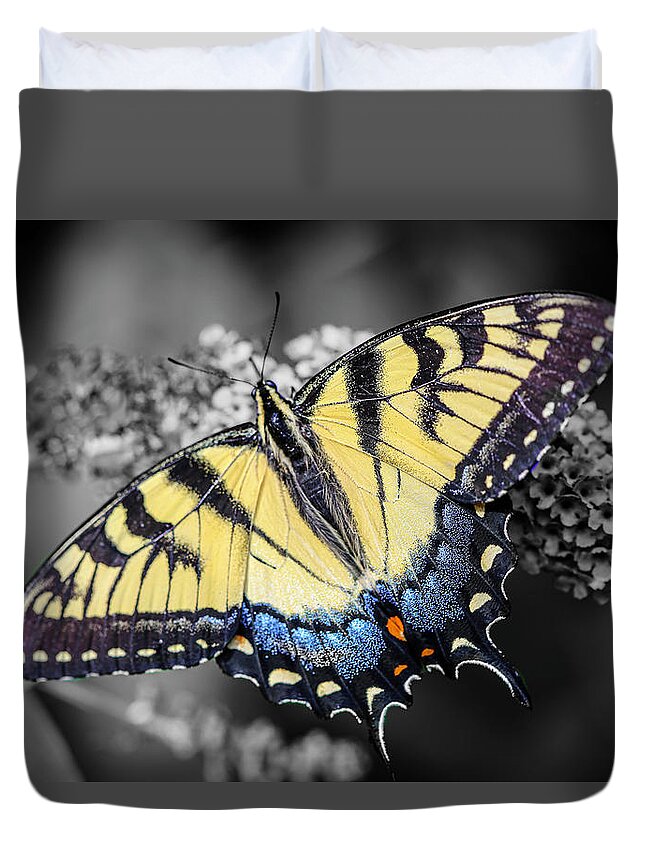 Butterfly Duvet Cover featuring the photograph Butterfly Palette by Dale R Carlson