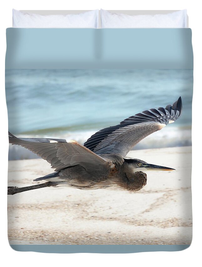 Great Blue Heron Duvet Cover featuring the photograph Buzzing the Beach by Susan Rissi Tregoning