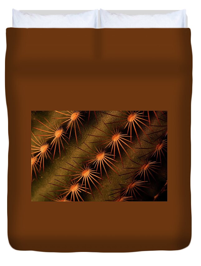 Art Duvet Cover featuring the photograph Cactus 9521 by Julie Powell