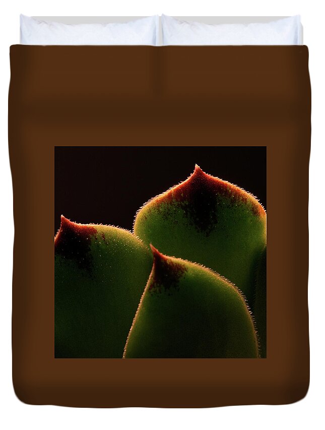 Macro Duvet Cover featuring the photograph Cactus 9609 by Julie Powell