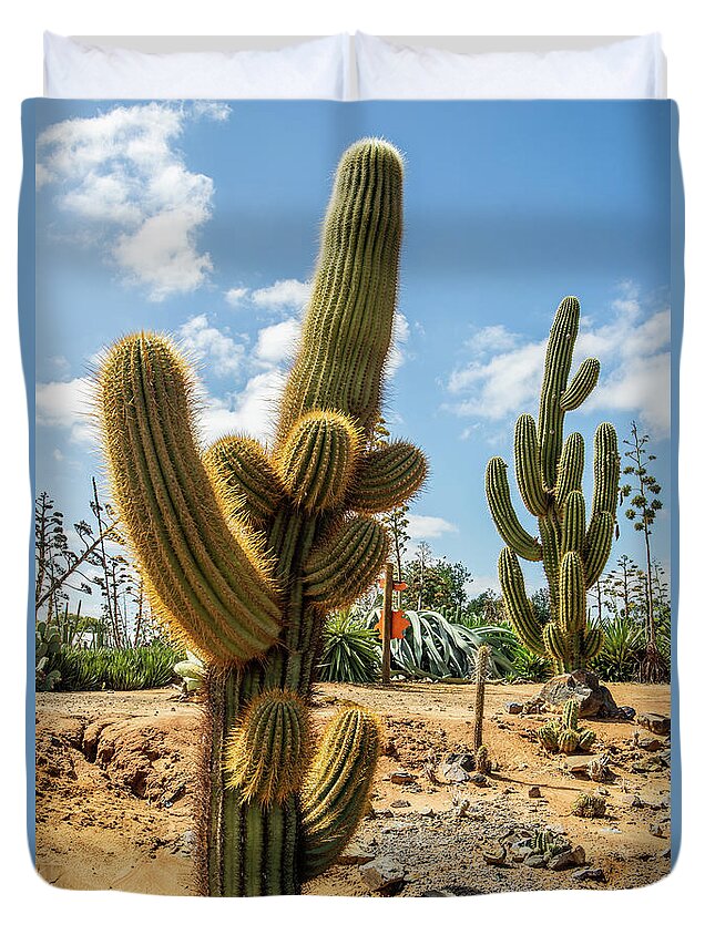 Cactus Duvet Cover featuring the photograph Cactus Country by Vicki Walsh