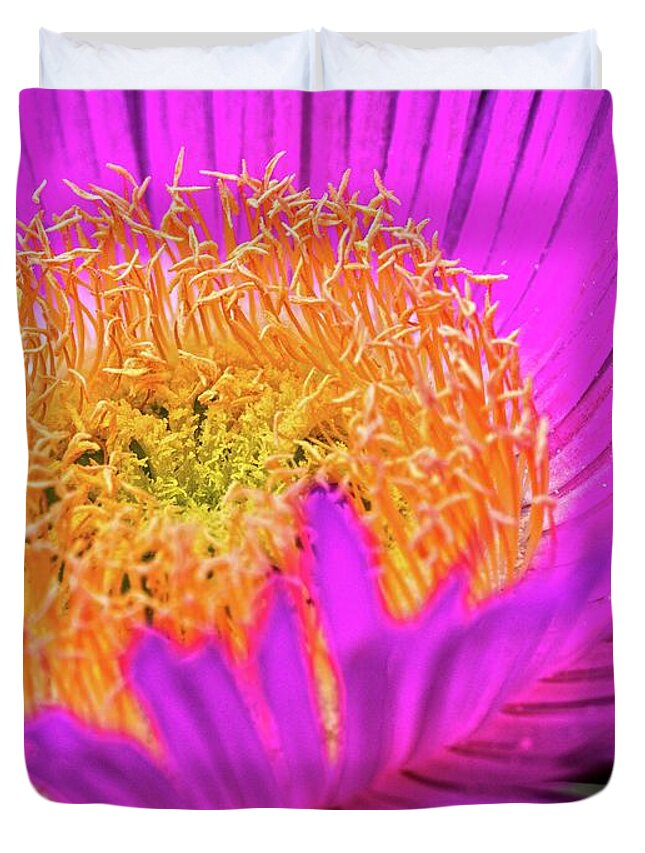 Cactus Flower Duvet Cover featuring the photograph Cactus Flower by Al Fio Bonina