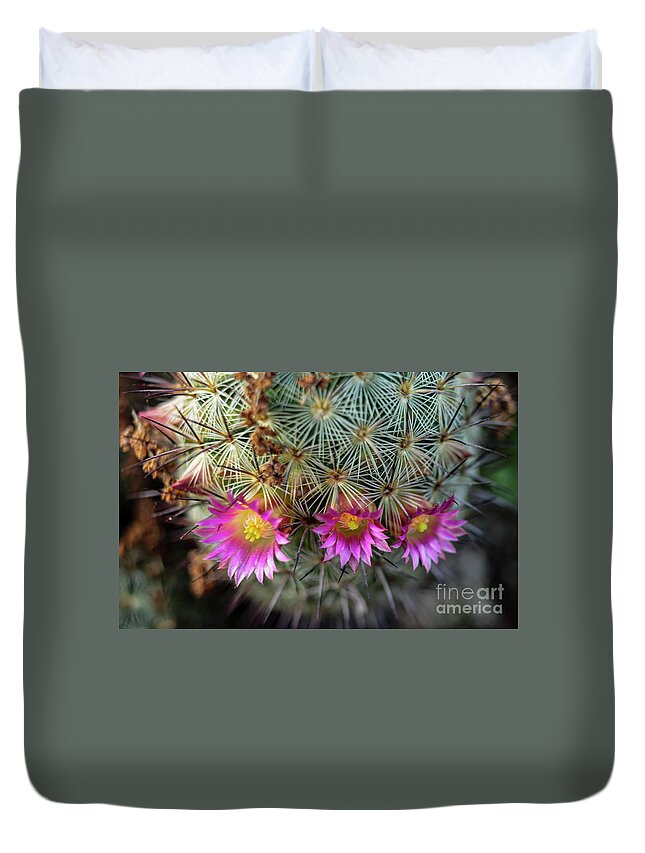Cactus Duvet Cover featuring the photograph Cactus Flowers by Seth Betterly