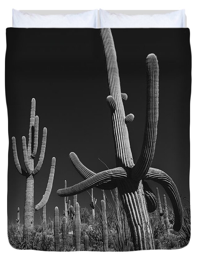 Cactus Duvet Cover featuring the photograph Cactus Forest by Seth Betterly