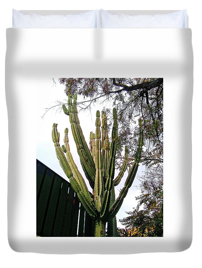 Tree Duvet Cover featuring the photograph Cactus Tree by Andrew Lawrence
