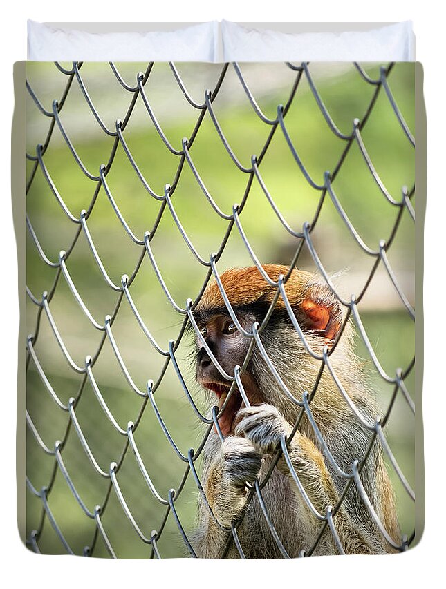 Monkey Duvet Cover featuring the photograph Caged monkey by Mendelex Photography