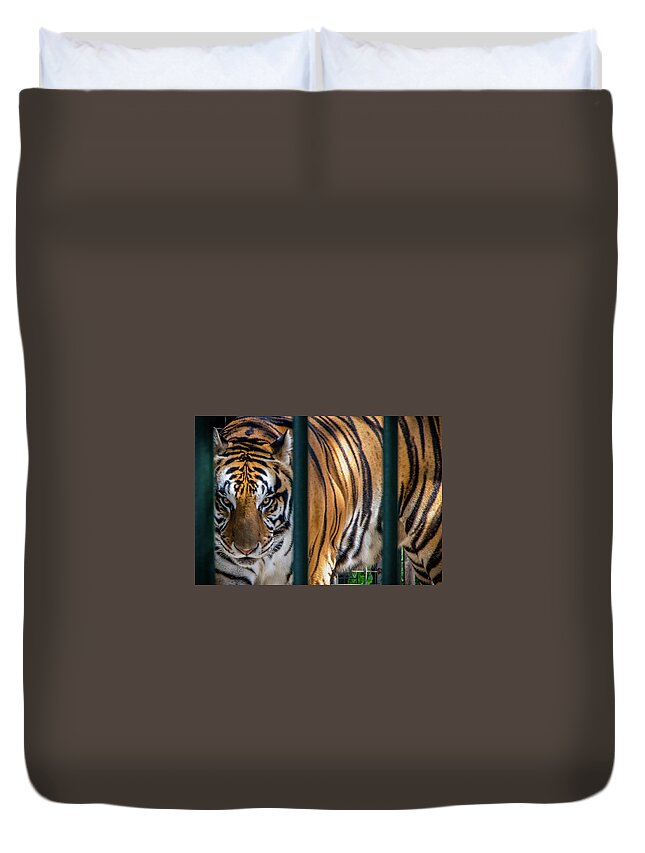 2018 Duvet Cover featuring the photograph Caged Thunder by Gerri Bigler