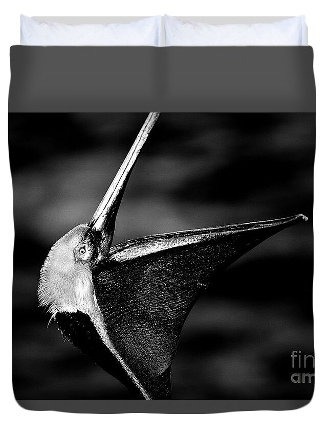 Pelicans Duvet Cover featuring the photograph The Dreamcatcher by John F Tsumas