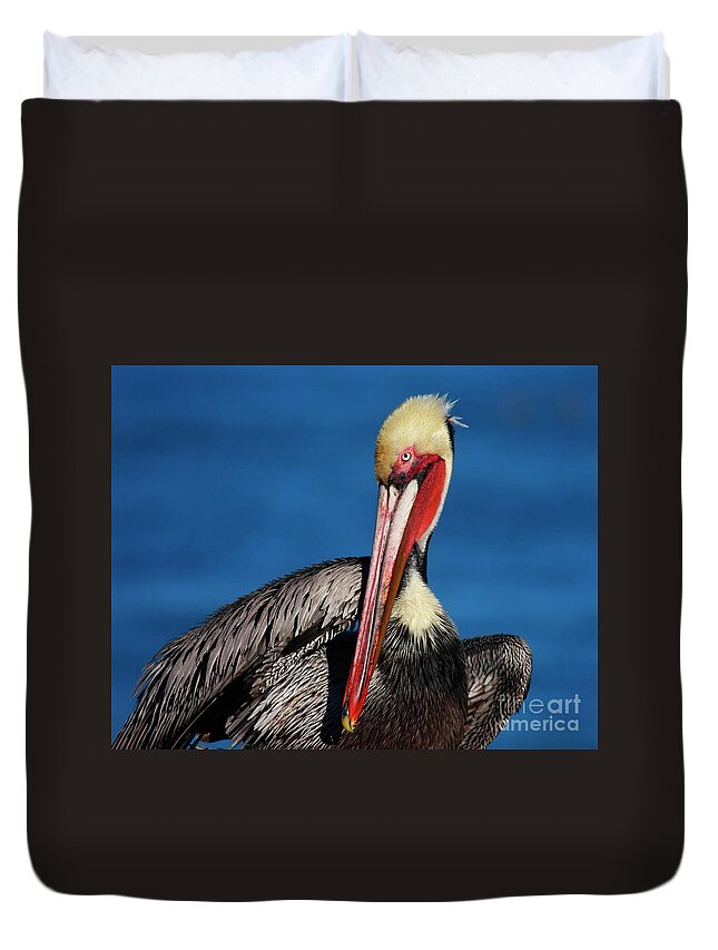 Pelican Duvet Cover featuring the photograph California Brown Pelican In Mega Breeding Colors by John F Tsumas