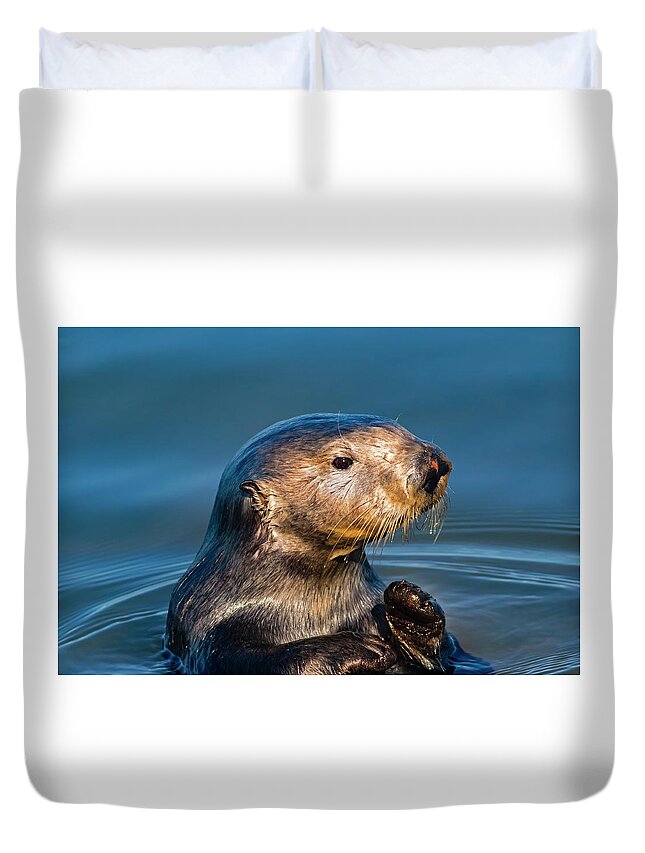 California Coast Duvet Cover featuring the photograph California Sea Otter by Mark Miller
