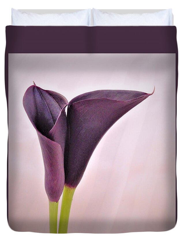 - Calla Lilies Duvet Cover featuring the photograph - Calla Lilies by THERESA Nye