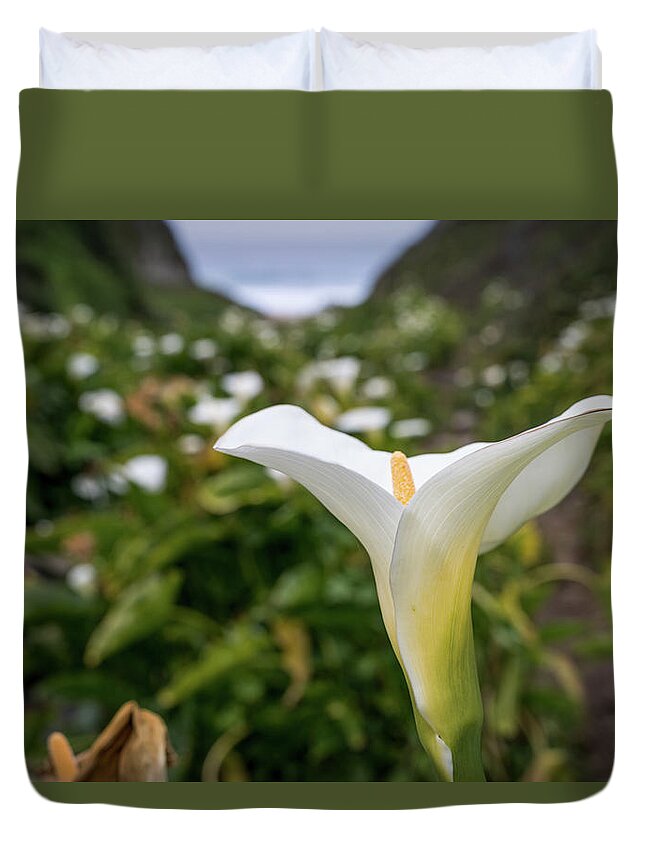 Calla Lily Duvet Cover featuring the photograph Calla Lily Charm by Margaret Pitcher