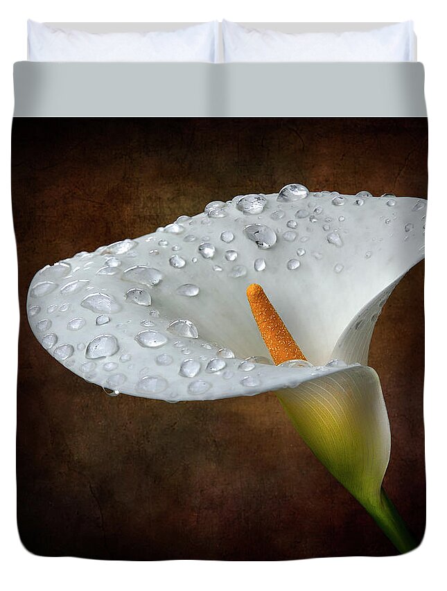 Rainwater Duvet Cover featuring the photograph Calla Lily With Rainwater by Endre Balogh
