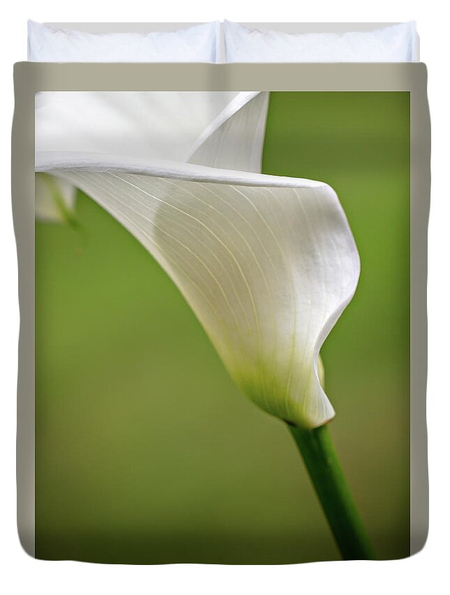  Duvet Cover featuring the photograph Calla by Mary Jo Allen