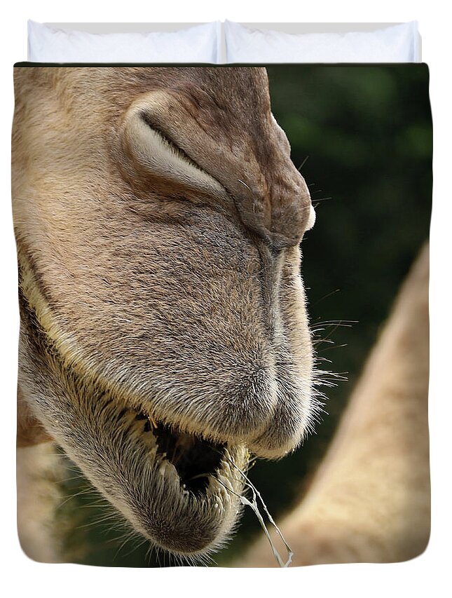 Camel Duvet Cover featuring the photograph Camel by M Kathleen Warren