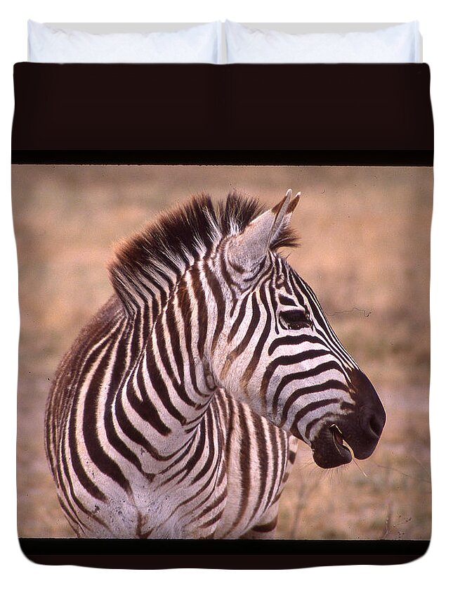 Africa Duvet Cover featuring the photograph Camera Shy Zebra by Russ Considine