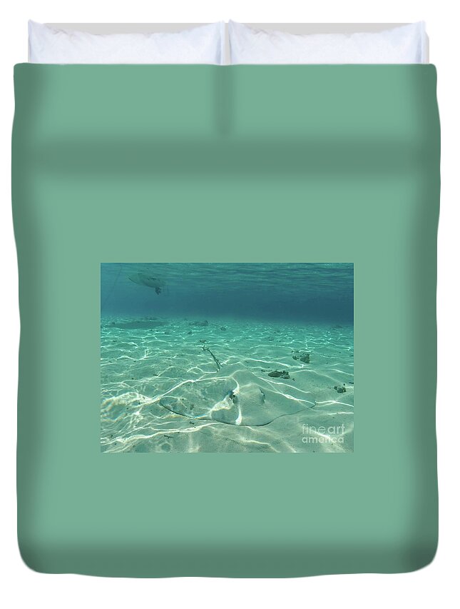 Ocean Duvet Cover featuring the photograph Camoflauged stingray by Ed Stokes