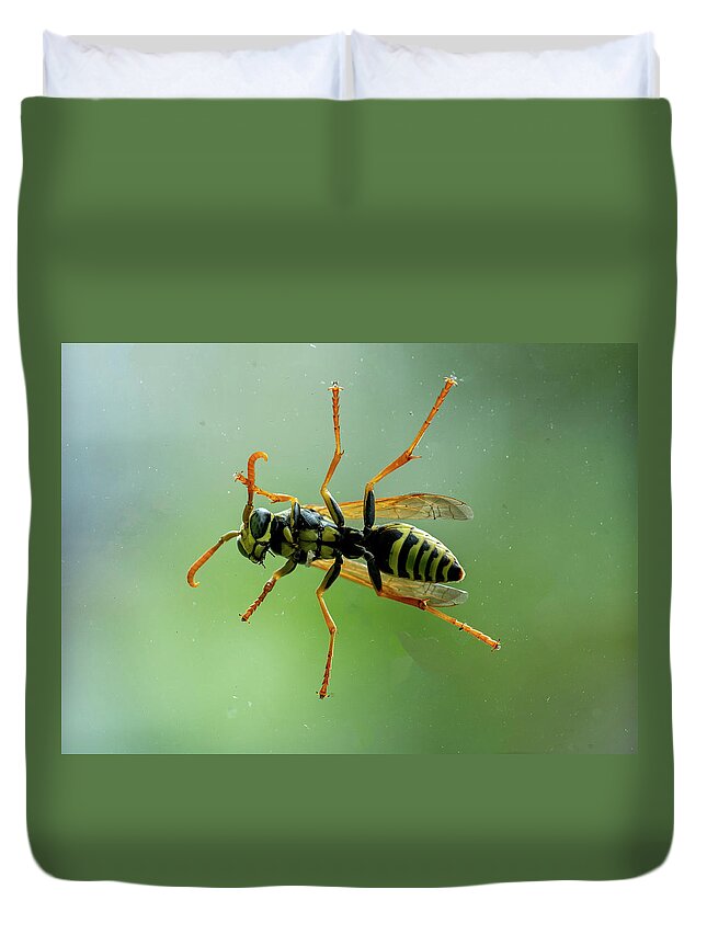 Bee Duvet Cover featuring the photograph Can I Come In by Cathy Kovarik