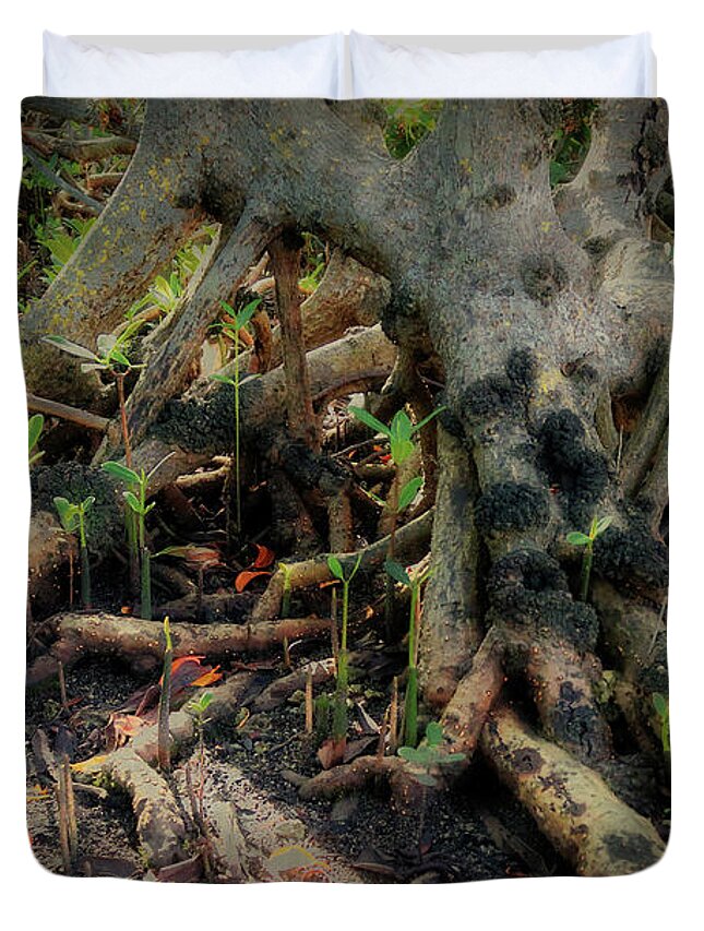 Winter Duvet Cover featuring the photograph Can You See the Spooky Face in this Forest  by Doc Braham