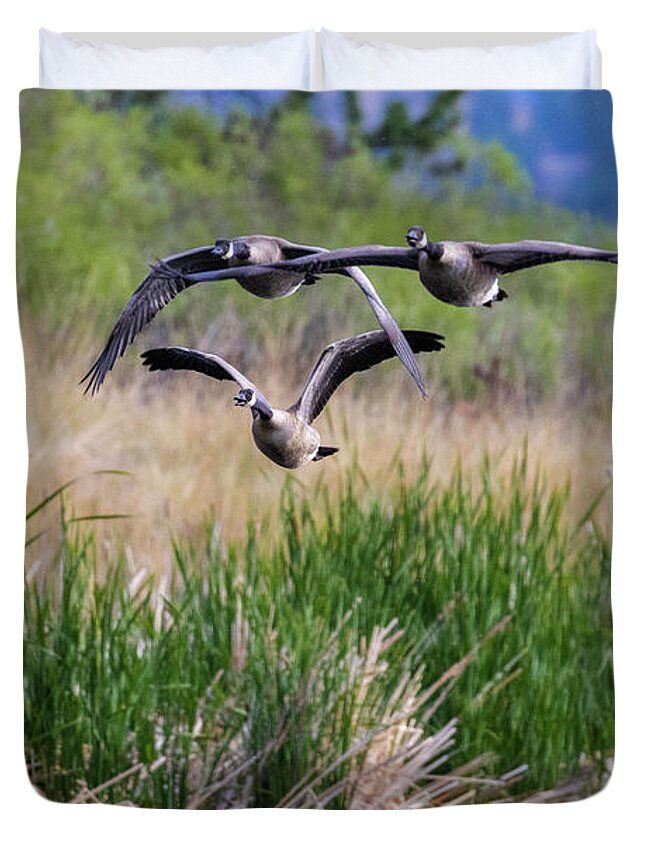Geese Duvet Cover featuring the photograph Canada Geese in Flight by Steven Krull