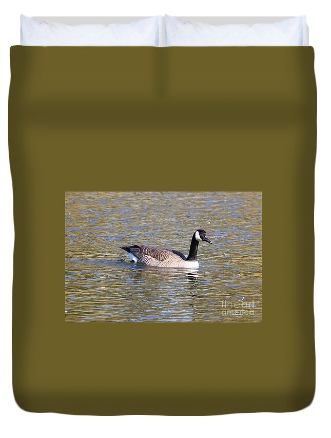 Canada Goose Duvet Cover featuring the photograph Canada Goose Swimming by Carol Groenen