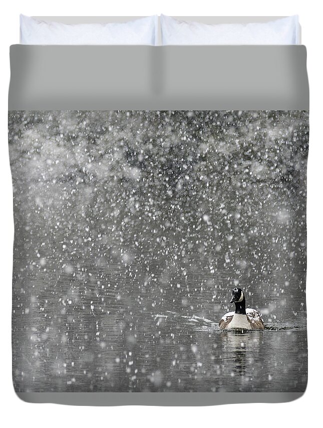 North America Duvet Cover featuring the photograph Canadian Goose in Snow 1 by Melissa Southern