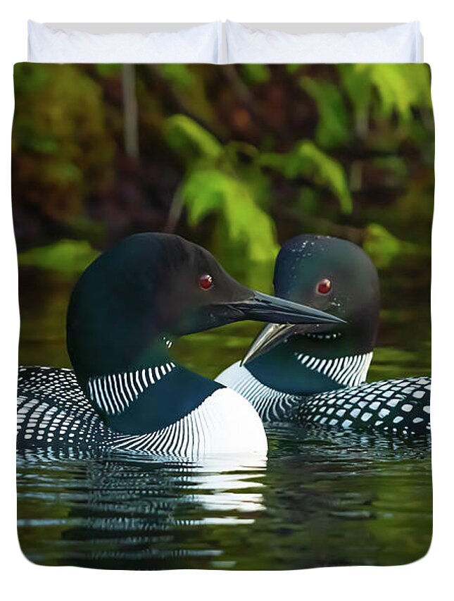 Loons Duvet Cover featuring the photograph Canadian Loons 12 by Ron Long Ltd Photography