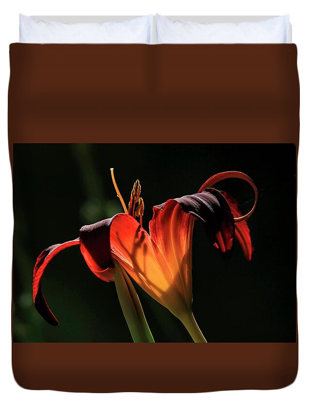 Lily Duvet Cover featuring the photograph Candle in the Wind by Donna Kennedy