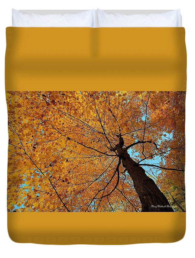 Autumn Leaves Duvet Cover featuring the photograph Canopy of Color by Mary Walchuck