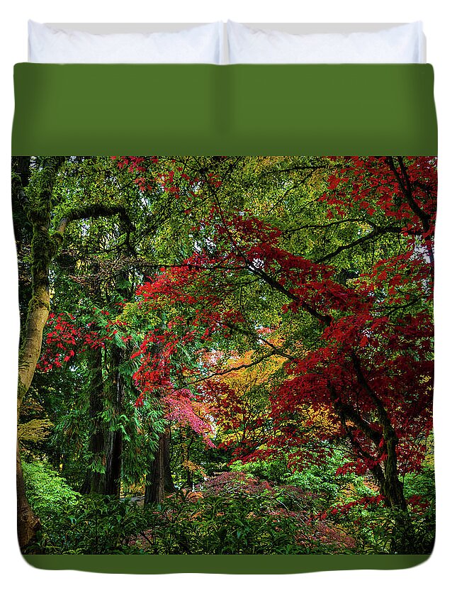 Autumn Duvet Cover featuring the photograph Canopy of Maple Trees in Autumn by Aashish Vaidya