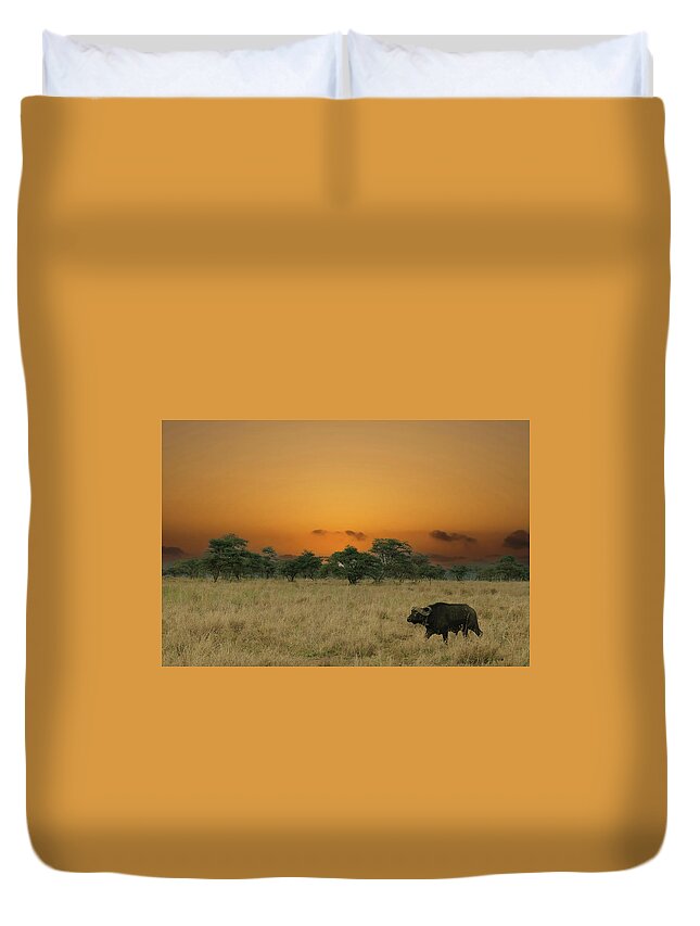 Artiodactyla Duvet Cover featuring the photograph Cape buffalo Syncerus caffer #aYearForArt  on savannah by Steve Estvanik