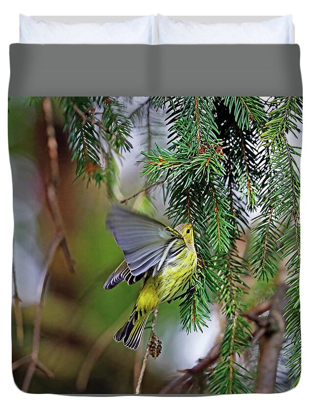 Warbler Duvet Cover featuring the photograph Cape May Warbler Winging It by Debbie Oppermann