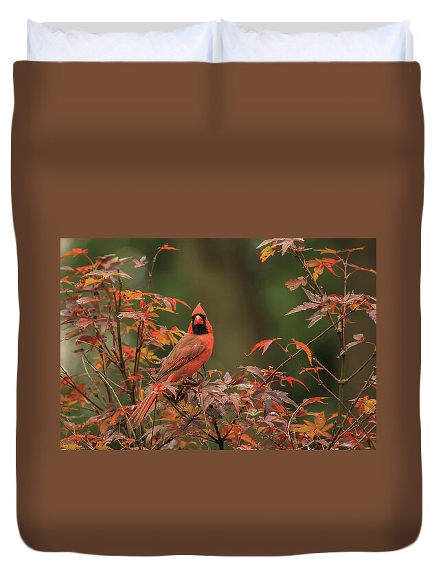 Bird Duvet Cover featuring the photograph Cardinal by Doug McPherson