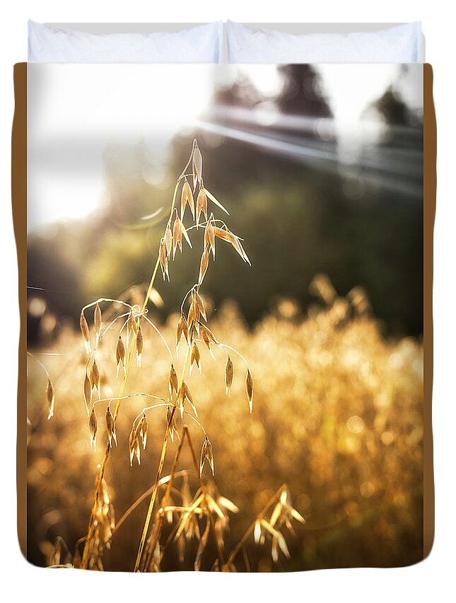 Agriculture Duvet Cover featuring the photograph Caressed by the autumn sun by Maria Dimitrova