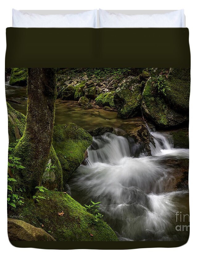 Waterfall Duvet Cover featuring the photograph Cascade at Rocky Fork by Shelia Hunt
