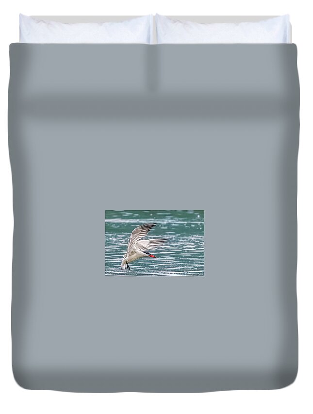 Caspian Tern Duvet Cover featuring the photograph Caspian Tern by Timothy Anable