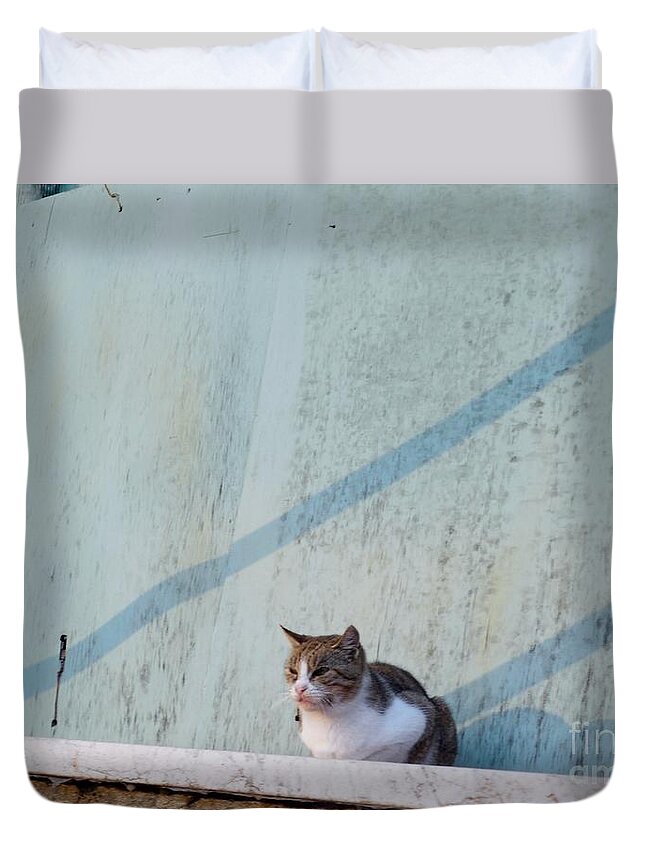 Cat Duvet Cover featuring the photograph Cat in Ventimiglia I by Aisha Isabelle