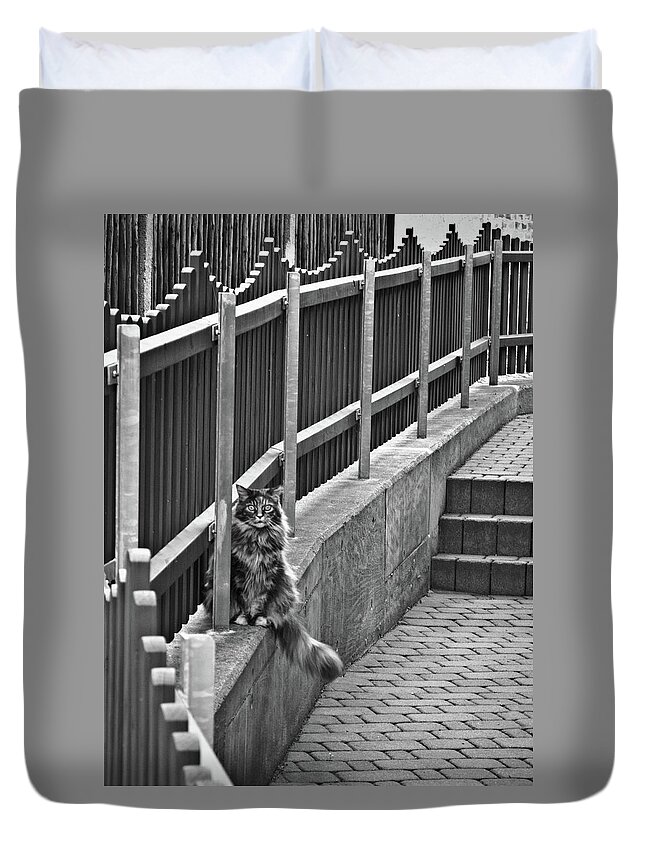 Germany Duvet Cover featuring the photograph Cat on a fence by Naomi Maya