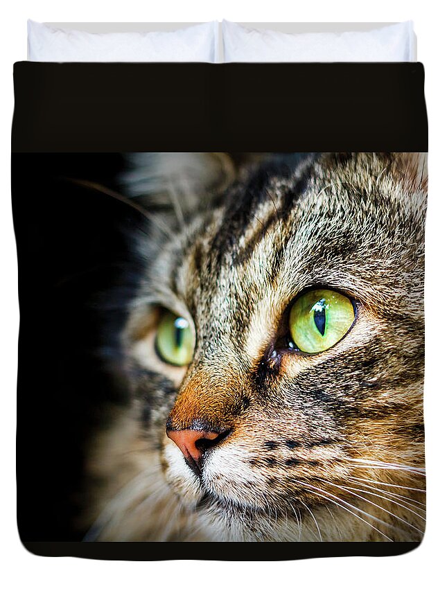 Cat Duvet Cover featuring the photograph Cat Stare by Rick Deacon