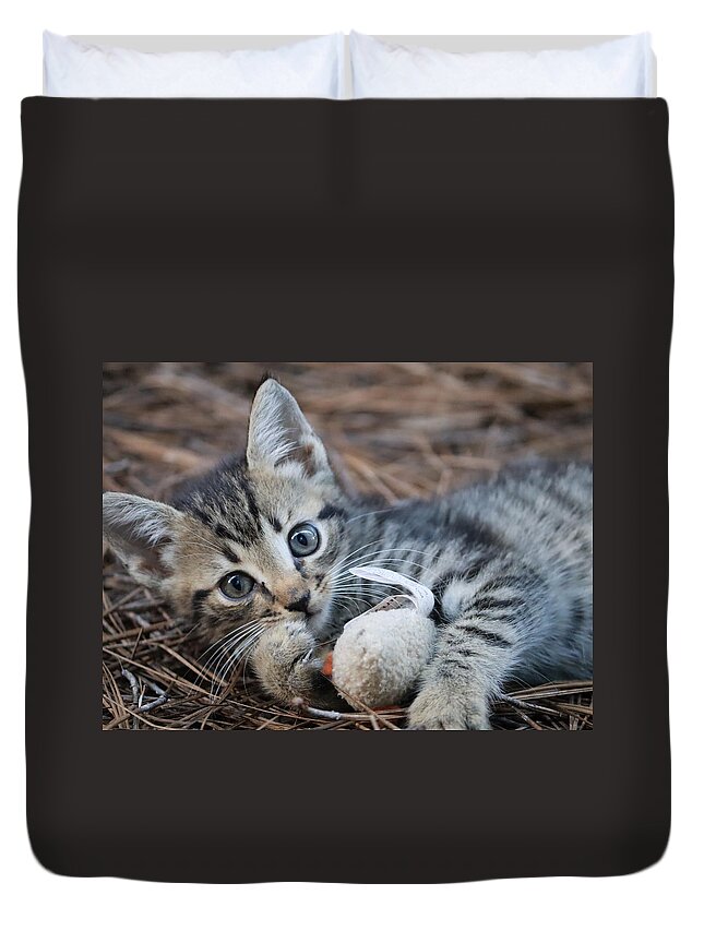 Kitty Duvet Cover featuring the photograph Cat Toy Kitty by CG Abrams