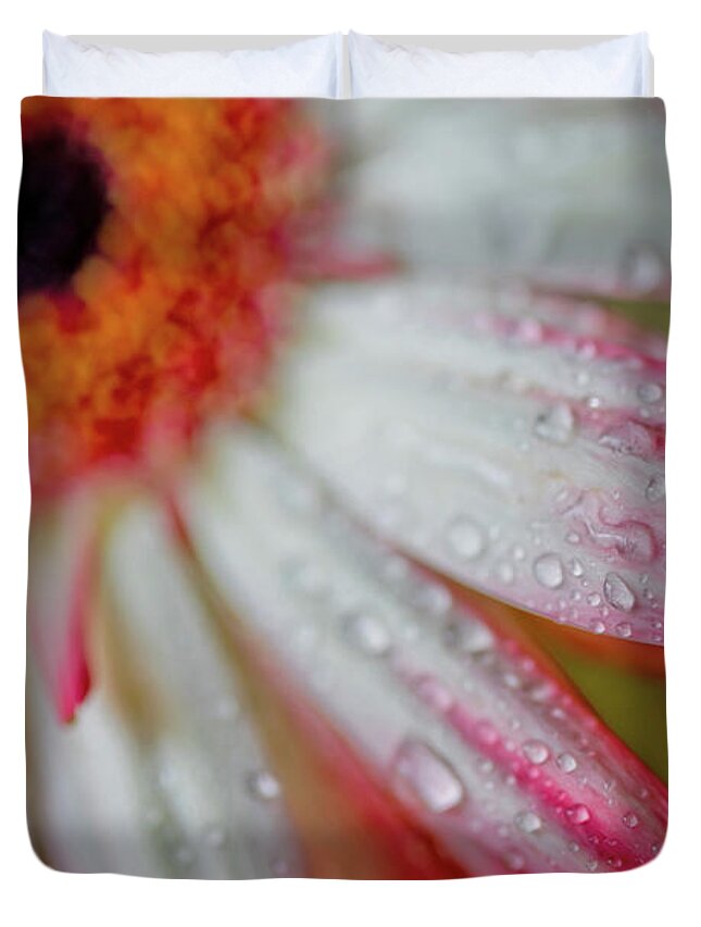 Pretty Daisy Flower Duvet Cover featuring the photograph Catalaya Story by Az Jackson