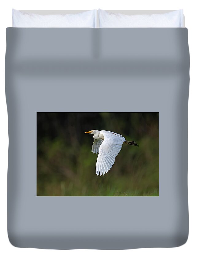 Cattle Egret Duvet Cover featuring the photograph Cattle Egret in flight by Rick Mosher